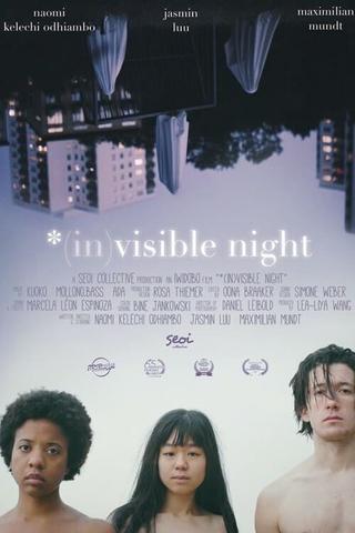 *(In)Visible Night poster