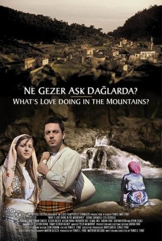 Ne Gezer Aşk Dağlarda? poster
