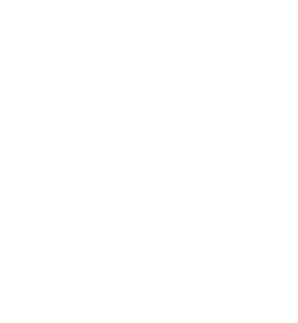 Nicky, Ricky, Dicky & Dawn logo