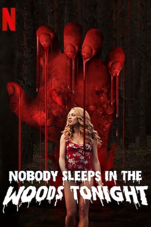 Nobody Sleeps in the Woods Tonight poster