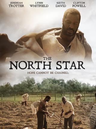 The North Star poster