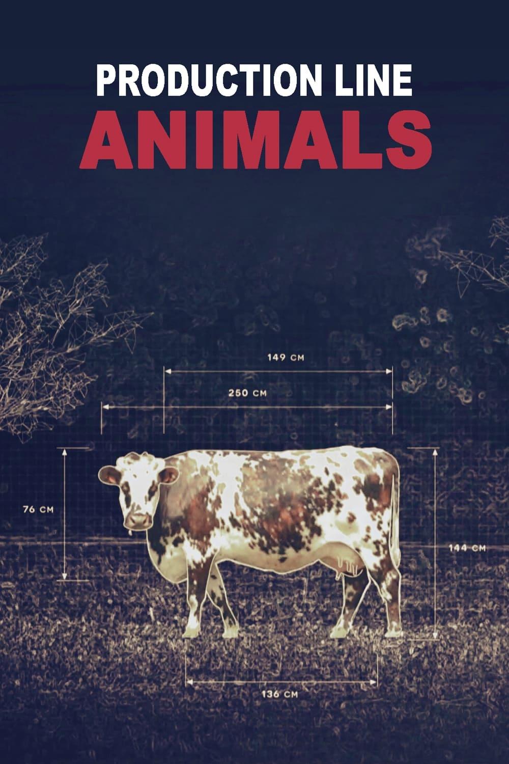 Production Line Animals poster