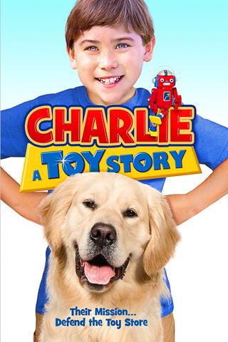Charlie: A Toy Story poster