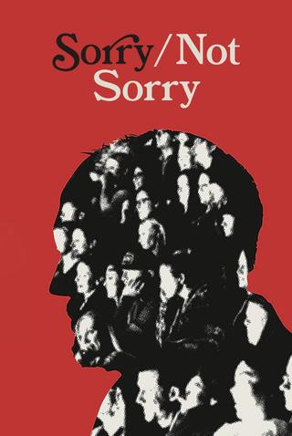 Sorry/Not Sorry poster