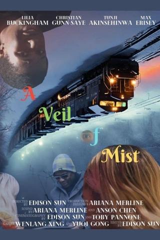 A Veil of Mist poster
