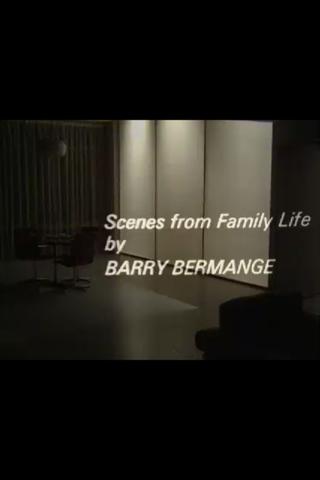 Scenes from Family Life poster
