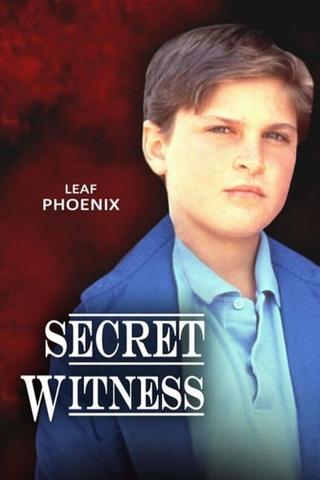 Secret Witness poster