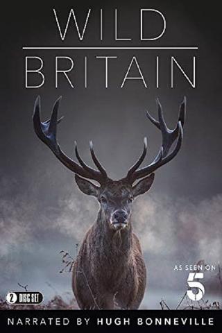 Wild Britain poster