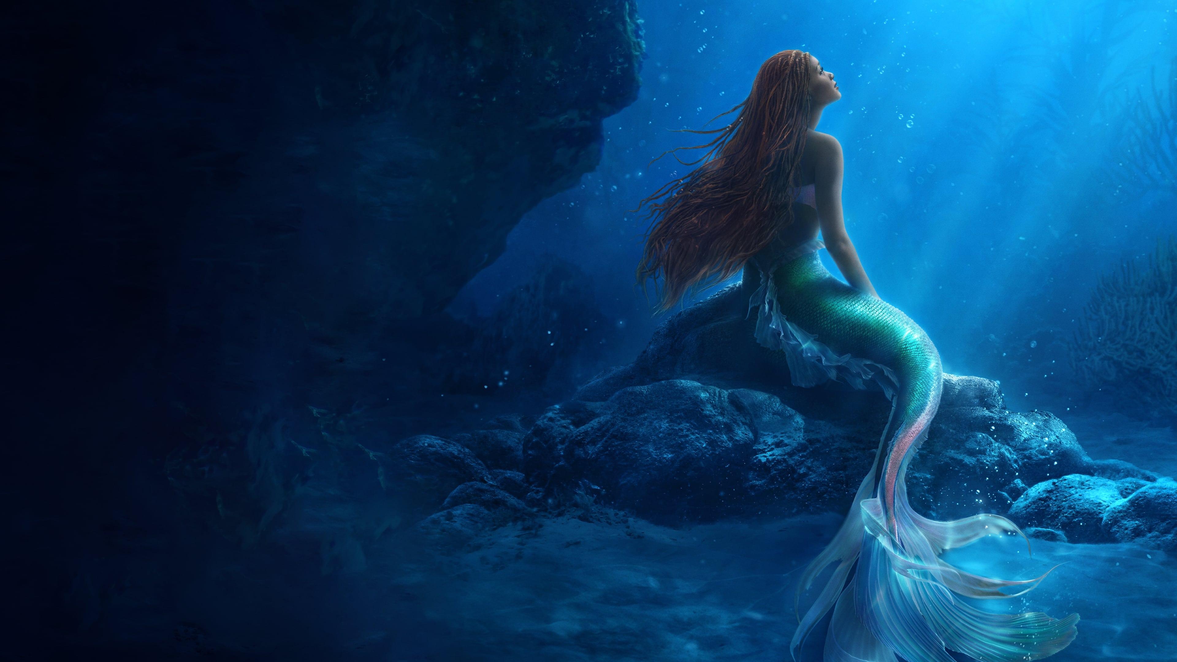 The Little Mermaid backdrop