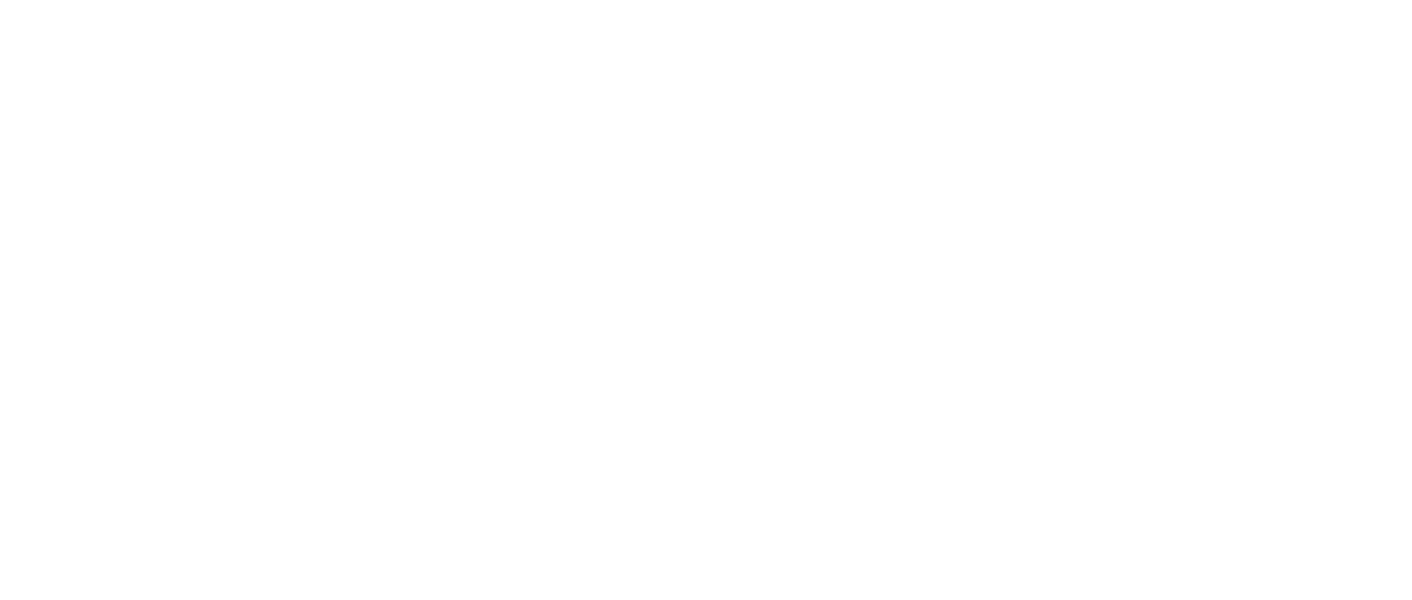 The Duel logo