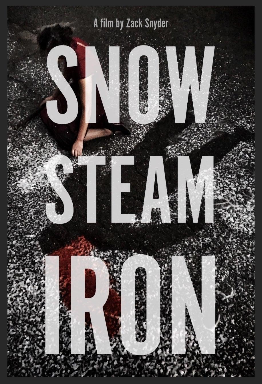 Snow Steam Iron poster