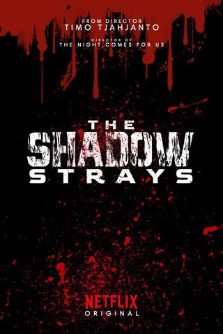 The Shadow Strays poster