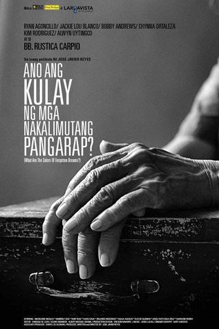 Ano ang Kulay ng mga Nakalimutang Pangarap? poster