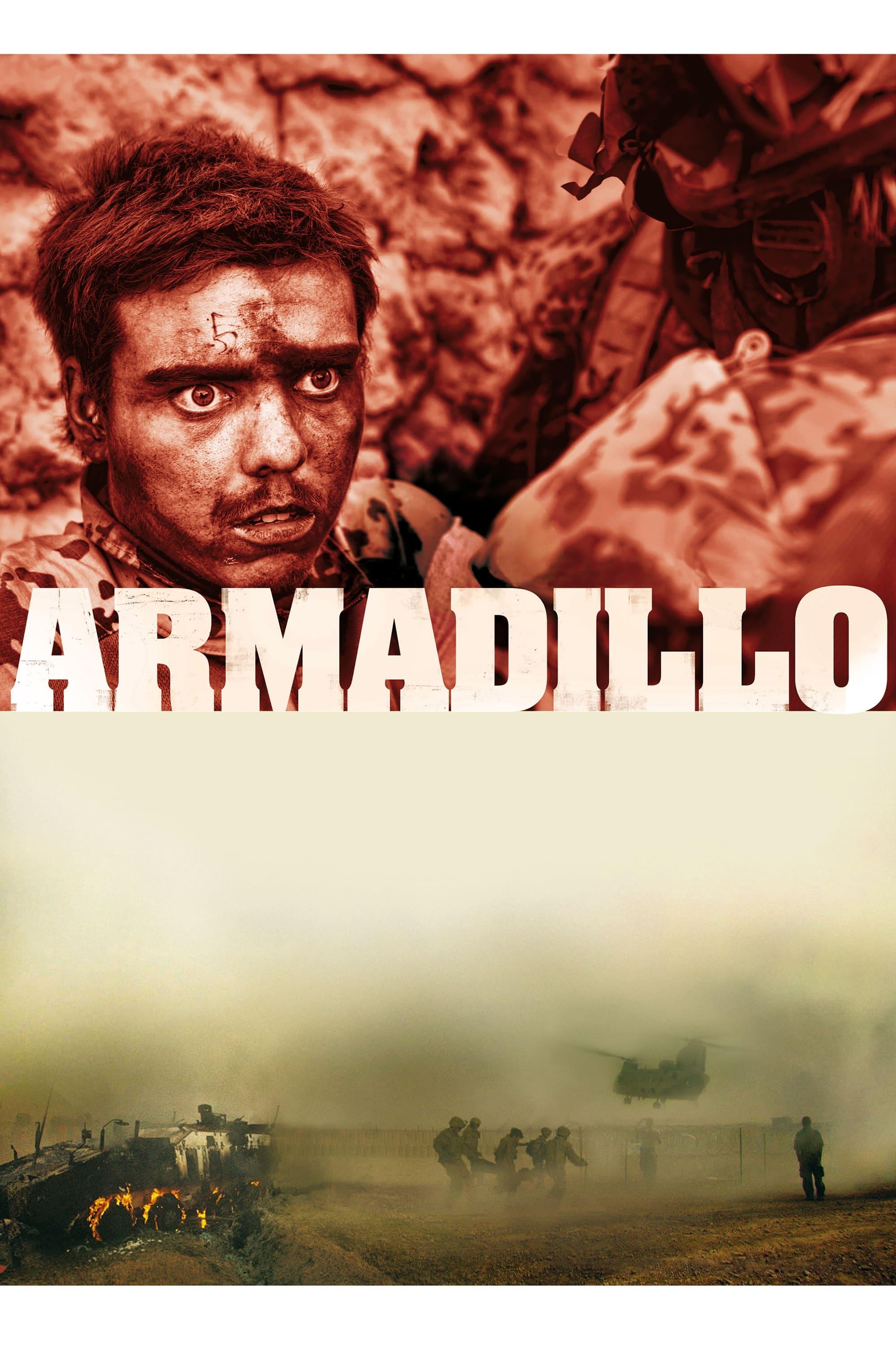 Armadillo poster