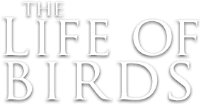 The Life of Birds logo