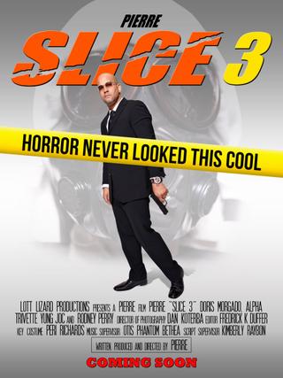 Slice 3 poster