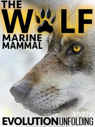 The Wolf: Marine Mammal poster