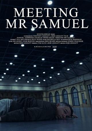 Meeting Mr Samuel poster