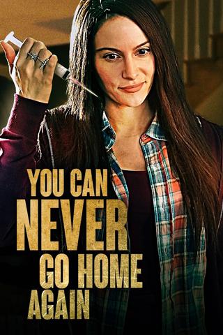 You Can Never Go Home Again poster