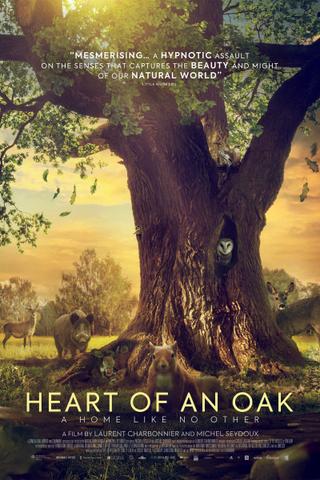 Heart of an Oak poster
