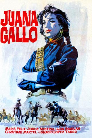 Juana Gallo poster