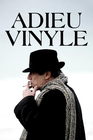 Goodbye Vinyle poster