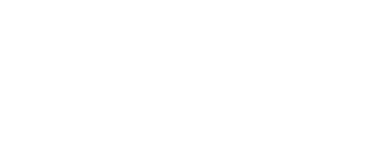 Shania Twain: Not Just a Girl logo