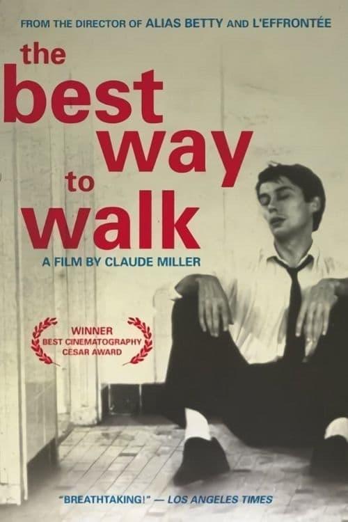 The Best Way to Walk poster