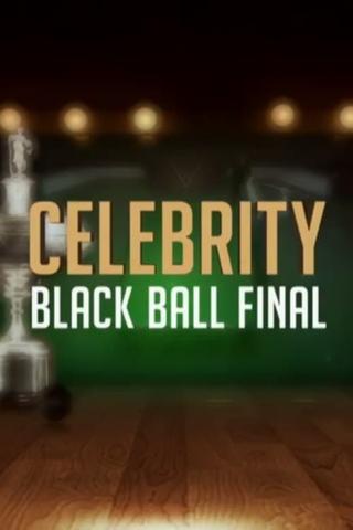 Celebrity Black Ball Final with Steve Davis poster