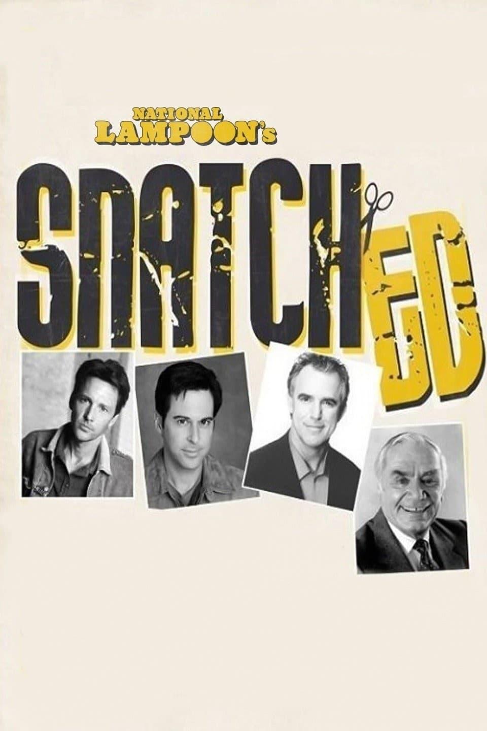 National Lampoon's Snatched poster