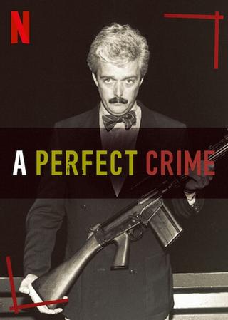 A Perfect Crime poster