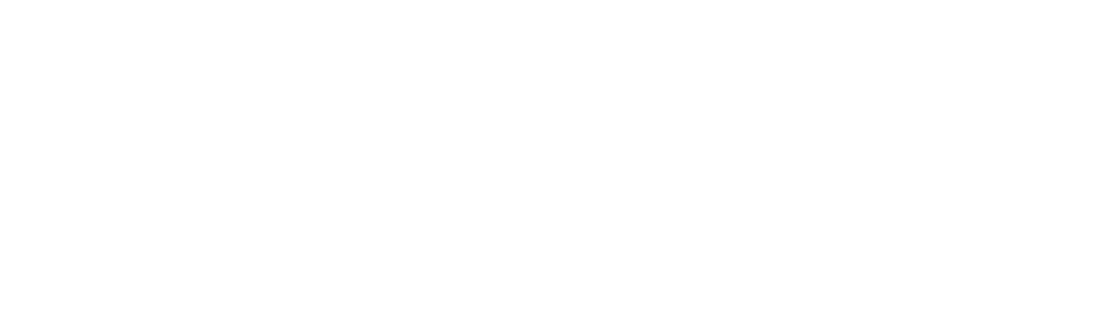 Observe and Report logo