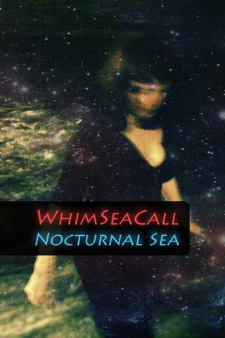WhimSeaCall - Nocturnal Sea poster
