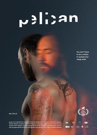 Pelican poster