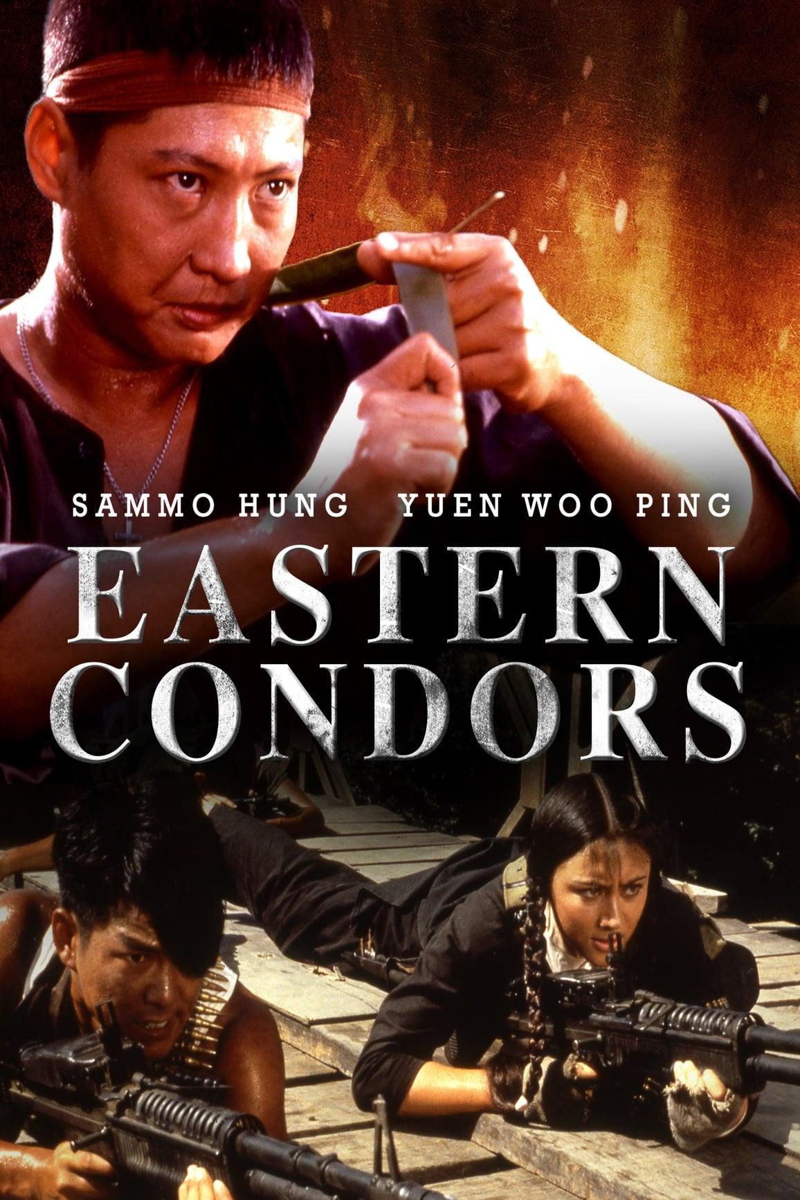 Eastern Condors poster