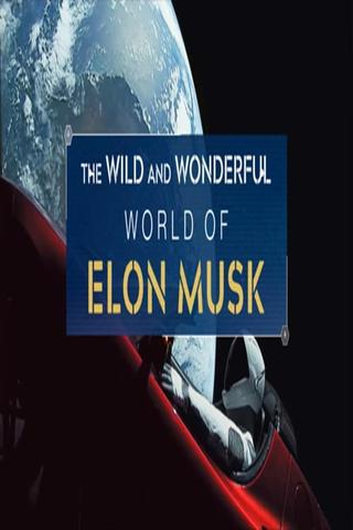 The Wild and Wonderful World of Elon Musk poster