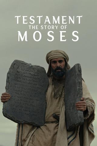 Testament: The Story of Moses poster