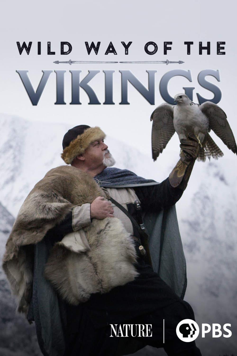 Wild Ways of the Vikings poster