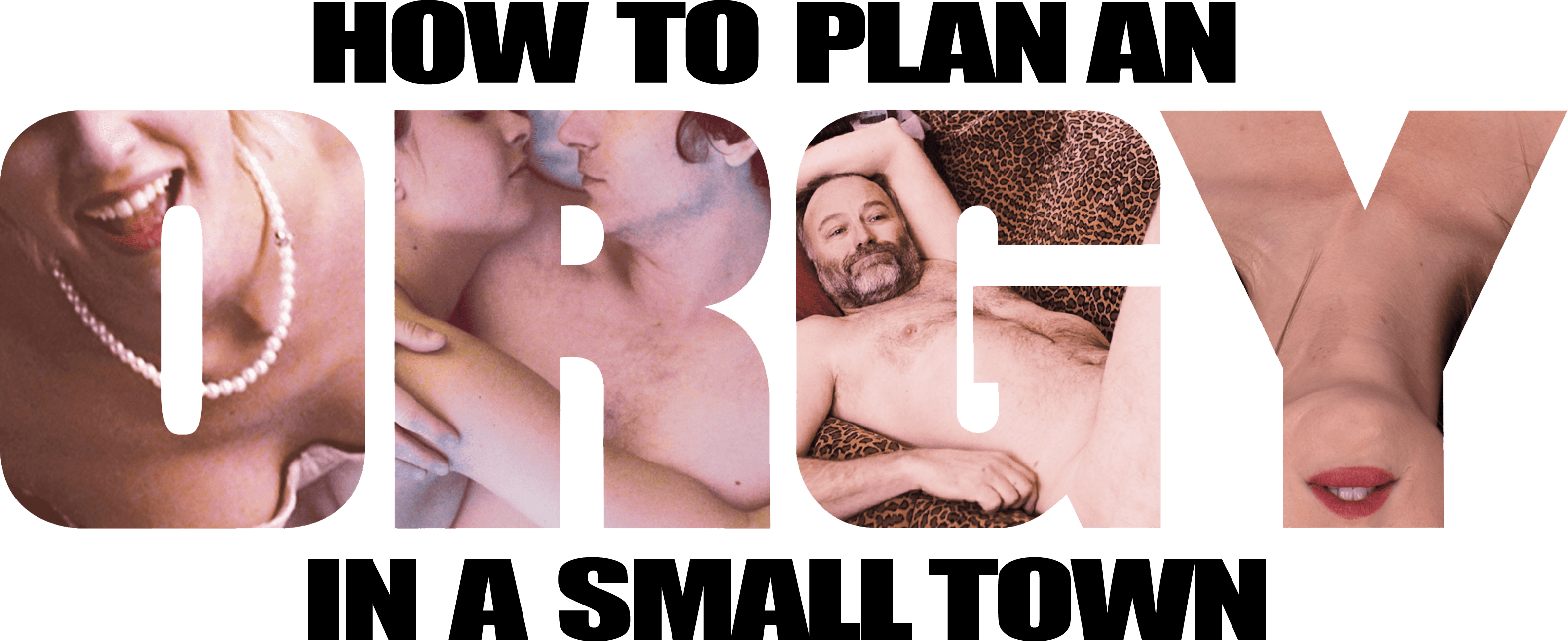 How to Plan an Orgy in a Small Town logo