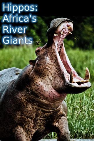 Hippos: Africa's River Giants poster