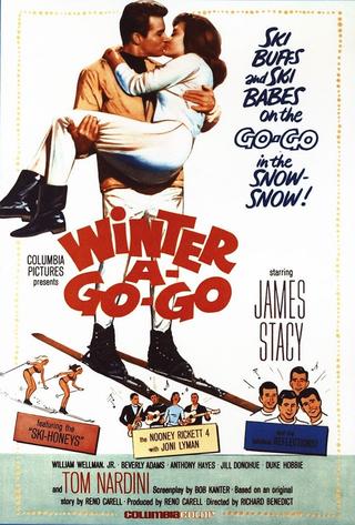 Winter A-Go-Go poster