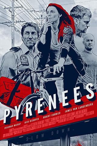 Pyrenees poster