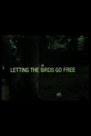 Letting the Birds Go Free poster