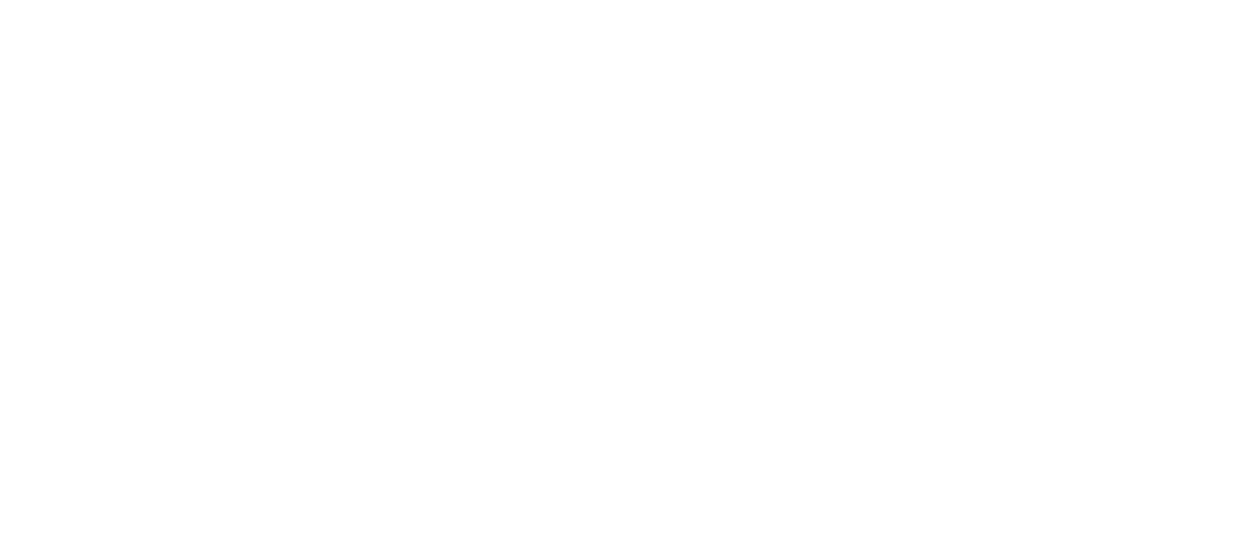 Freedom Fighters: The Ray logo