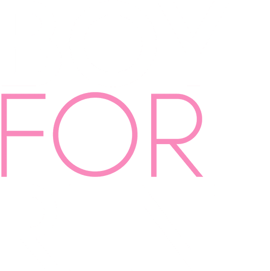 Boy For Rent logo