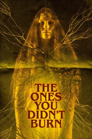 The Ones You Didn’t Burn poster