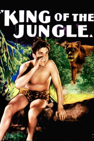 King of the Jungle poster