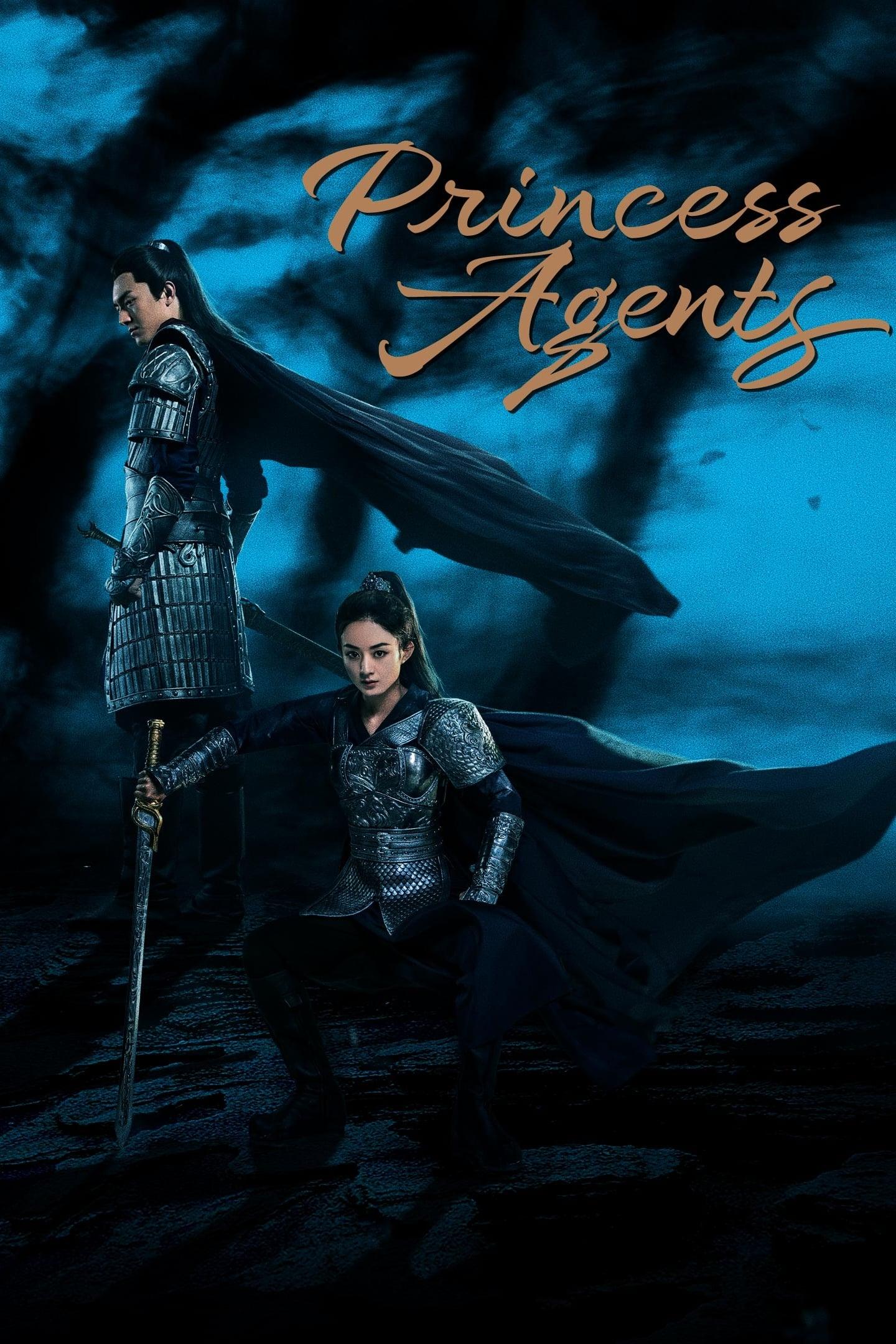 Princess Agents poster