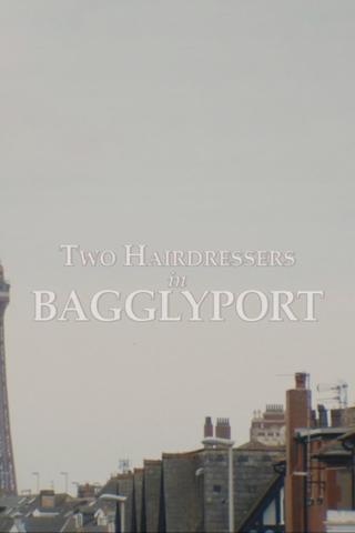 Two Hairdressers in Bagglyport poster