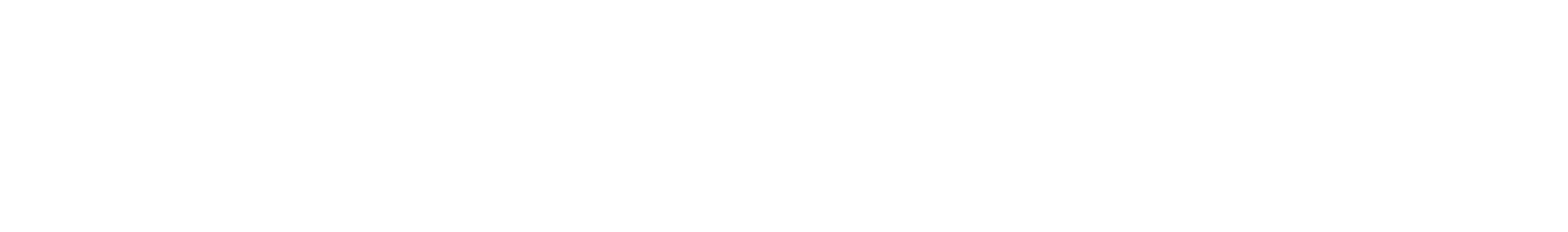River Wild logo